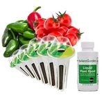 AeroGarden Salsa Garden Seed Pod Kit (6-Pod)