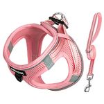 Dog Harness Xs