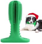 Dog Toothbrush Chew Toy for Small & Medium Dogs, Puppy Dental Chew Toy Green toothbrush, Rubber Bite Resistant Durable, Self cleaning Toothbrush Toy for Dog Molar and Chew