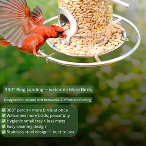 Provide Heavy Duty Bird Feeder – Durable Outdoor Hanging Feeder