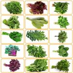 THE INDIAN BEEJ - Green Leafy Vegetable seeds|15 Varieties | 150 g| Home Garden| Perfect for Home Gardening|Each Packet 10g |15k+ Seeds| Best Germination| Grow All Season |