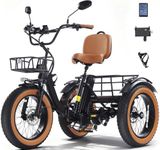 NOMIGO Electric Tricycle for Adult 
