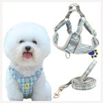 A+a Pets' Harness & Leash Set(Combo) for Cats, Puppies, Small Dogs with 2 Leash Points – Escape Friendly | Night Safety | Reflective Strips |100% Cotton (M, Blue)