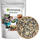 Natural River Rocks 2lb Succulent Cactus Bonsai Pebbles Planter Potting Stones Decorative Polished Mixed Color Terrarium Tiny Gravel Indoor Plant Soil Cover for Aquariums, Landscaping, Vase Fillers