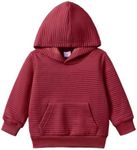 PATPAT Toddler Boy Girl Long Sleeve Hoodie Sweatshirt Pullover Tops Fall Winter Essentials Clothes Burgundy 18-24 Months