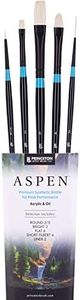 Princeton Aspen 6500 5pc Professional Paint Brushes - Princeton Acrylic Brushes - Synthetic Oil Painting Brushes for Oil Acrylic & Gouache - Set of Art Brushes Filbert Striper Flat & Round Brush Set