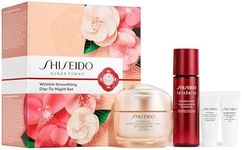 Shiseido Wrinkle Smoothing Day-to-N