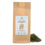 Horsetail Herb Loose Tea (250g, 8.8oz), Gently Dried Horsetail, 100% Natural and Pure for Preparation of Herbal Tea, Horsetail Tea, Herbal Infusion