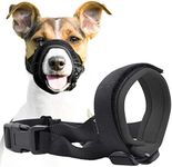 Gentle Muzzle Guard for Dogs - Prevents Biting and Unwanted Chewing Safely–New Secure Comfort Fit - Soft Neoprene Padding–No More Chafing–Included Training Guide Helps Build Bonds with Pet (L, Grey)