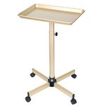 Salon Tray, Champagne Gold Salon Tray, Salon Tray Cart with Adjustable Height, Salon Tray on Wheels, Ideal Use As Tattoo Tray&Deantal Tray, No-Rusting