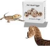 Undique Whole Quail Eggs for Pets, Raw Feeding (20)