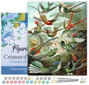 Figured'Art Paint by Numbers for Adults with Frame All The Birds 16"x20" - Craft Art Painting DIY Kit Canvas Already Stretched on a Wooden Frame