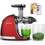 AMZCHEF Cold Press Juicer Machines, Slow Masticating Juicers for Whole Fruits and Vegetables, High Juice Yield, No BPA, with 2 Cups and Recipe, Classic Red