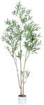 SwinDuck 6 Feet (72'') Olive Tree Fluffy Artificial Plants for Home Indoor, Fake Potted Olive Silk Tree for Modern Home Office Living Room Floor Decor Indoor