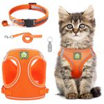 Cat Harness and Lead Set,Adjustable Reflective Stripe Cat Kitten Walking Vest with Leash Cats Collar,Escape Proof Soft Mesh Vest Harness and Lead for Small Medium Cats Pets Walking