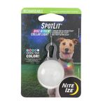 Nite Ize SpotLit Rechargeable Collar Light, Pet Safety Light, Clip-on, Weather-resistant, Four Colors, Glow or Flash Modes, Stainless Steel