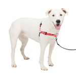 PetSafe Easy Walk Deluxe Dog Harness, No Pull Dog Harness   – Perfect for Leash & Harness Training – Stops Pets from Pulling and Choking on Walks – Medium/Large, Rose