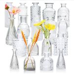 Brajttt Glass Bud Vase Set of 18,Sm