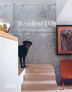 Resident D