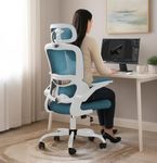 DROGO Premium Ergonomic Office Chair for Work from Home, High Back Computer Chair with Adjustable Seat, Lumbar Support & Headrest, Flip-up Armrest & Recline | Mesh Chair for Office/Home (Teal)