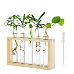 Tabletop Hanging Glass Planter Propagation Station Modern 5 Test Tube Flower Bud Vase in Wood Stand Rack Tabletop Terrarium for Hydroponic Plants Cuttings Office Home Decoration, Gift for Plant Lover