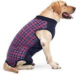 HEYWEAN Dog Recovery Suit Spay Suit