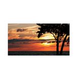 Trademark Fine Art "A Special Sunset" Artwork by Kurt Shaffer, 10 by 19-Inch