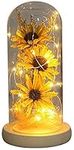 N*A NA Sunflower in Glass Dome Gift