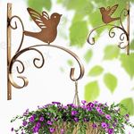 Sharpex Wall Mounted Metal Bracket | Decorative Wall Hook Plant Hanger for Hanging Pots, Bird Feeders, Flower Baskets, Planters, Lanterns, Lamps, and Wind Chimes for Indoor/Outdoor Use (Gold, 2 Pc)