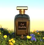 Oud Mood Simplicity 100ml by French Arabian Perfume - Sandalwood and Vanilla Scent - Luxury Arabic Perfume for Women and Men