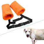 Elbow Pad For Dogs