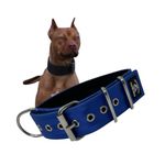 SparkDog Collars Working Dog Collar - 2" 4ply Padded Dog Collar Heavy Duty Stainless Steel Tactical Seatbelt Wide Buckle Collar (Blue 2.0, Large)