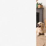 HIDBEA Frosted Window Privacy Film 