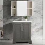 Vanity Art 30 Inch Single Sink Bathroom Vanity in Silver Grey with Ceramic Sink and Top | Rectangular Sink Cabinet Soft Closing Door, No Mirror VA5030-SG-CAN