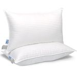 Set of 2, Luxury Goose Feather and Down Bed pillows (Queen) by East Coast Bedding