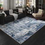 Rugcomf Area Rug 5x7 Washable Rug B