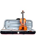 Hidersine Vivente 4/4 size Violin Outfit. For the ambitious student. Complete with Lockable Case, Quality Bow and Rosin. 3180A