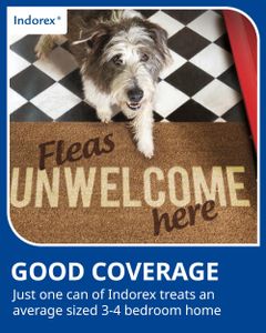 Virbac Indorex Defence Spray 2-Pack – Household Flea Control