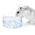 Niteangel Hamster Feeding & Water Bowl: - Mount Fuji Series Glass Drinking Bowls for Dwarf Syrian Hamsters Gerbils Mice Rats or Other Similar-Sized Small Pets (Transparent, 50 ml)