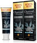 Burt's Bees Charcoal Fluoride Toothpaste, Mountain Mint, 105 mL (Pack of 2)