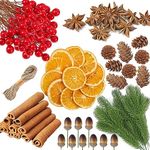 238 Pcs Christmas Wreath Making Supplies, Dried Orange Slices and Cinnamon Sticks, Star Anise, Artificial Berries Acorns Pine Branches Kit, Wreath Accessories Floral for Xmas Craft Decorations