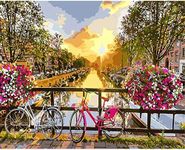 sukoly Paint by Numbers,Paint by Numbers Bicycle for Adults Kids Beginners 40 * 50 cm Sunset Paint by Numbers Kits for Adults Home Wall Decoration Without Frame - Flower Bike