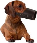 Hide & Drink, Leather Dog Muzzle Guard, Secure, Prevents Biting Chewing, Pitbull German Shephard & Any Breeds, Small Medium Large, Handmade Includes 101 Year Warranty :: Bourbon Brown (Small)