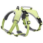 BELPRO Multi-Use Support Dog Harness, Escape Proof No Pull Reflective Adjustable Vest with Durable Handle, Dog Walking Harness for Big/Active Dogs (Green, M)