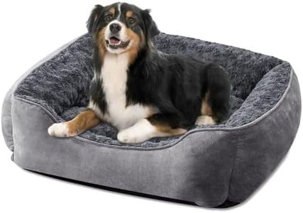 JOEJOY Dog