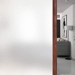 WPCTEV Window Privacy Film Frosted 