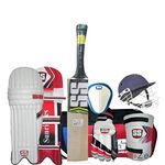 SS Economy Complete Cricket Kit Mens Size with Waves English Willow Bat with Fast DELIVERY