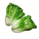 Lorigun Artificial Lettuce, Fake Vegetable, Artificial Vegetables For Decoration, Home Kitchen Decor, PU Vegetable 2 Pcs