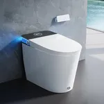 HOROW Artistic Bidet Toilet, Smart 
