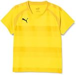 Puma JR 705149 JR 705149 Soccer Short Sleeve T-Shirt, Absorbent, Quick-Drying, Hoop, Game Shirt, for Kids, 24 Fall/Winter Colors Cyber Yellow/Spectra Yellow/Puma Black (07), 160